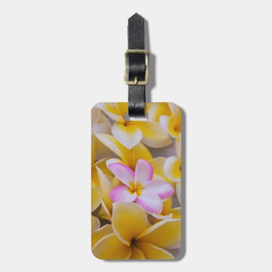 Verenigde Staten, Hawaii, Oahu, Plumeria bloemen i Bagagelabel (Voorkant verticaal)