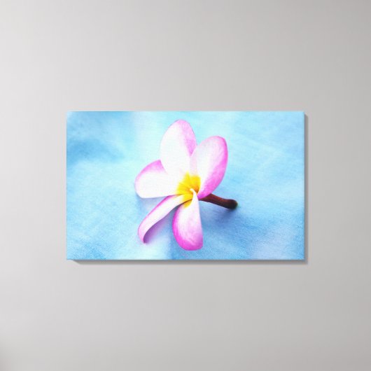 Verenigde Staten, Hawaii, Oahu, Plumeria bloemen i Canvas Afdruk (Voorkant)