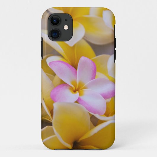 Verenigde Staten, Hawaii, Oahu, Plumeria bloemen i Case-Mate iPhone Case (Achterkant)