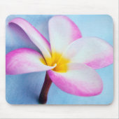 Verenigde Staten, Hawaii, Oahu, Plumeria bloemen i Muismat (Voorkant)