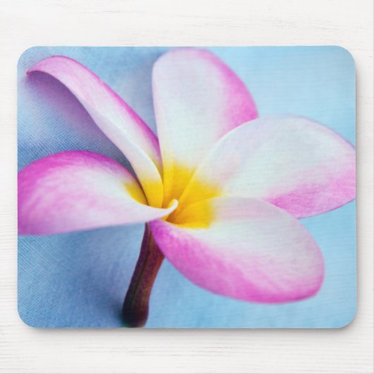 Verenigde Staten, Hawaii, Oahu, Plumeria bloemen i Muismat (Voorkant)