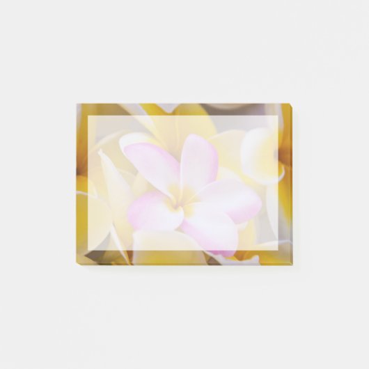 Verenigde Staten, Hawaii, Oahu, Plumeria bloemen i Post-it® Notes (Voorkant)