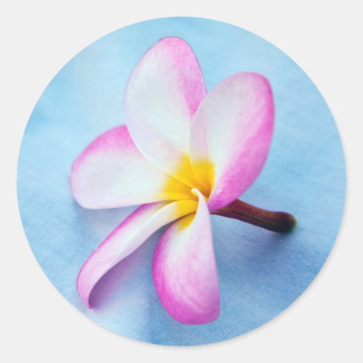 Verenigde Staten, Hawaii, Oahu, Plumeria bloemen i Ronde Sticker (Voorkant)