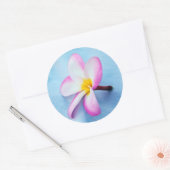 Verenigde Staten, Hawaii, Oahu, Plumeria bloemen i Ronde Sticker (Envelop)