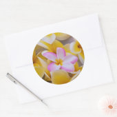 Verenigde Staten, Hawaii, Oahu, Plumeria bloemen i Ronde Sticker (Envelop)