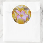 Verenigde Staten, Hawaii, Oahu, Plumeria bloemen i Ronde Sticker (Tas)