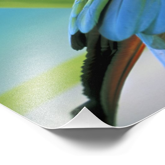 Verenigde Staten, Hawaii. Parrot Foto Afdruk (Hoek)