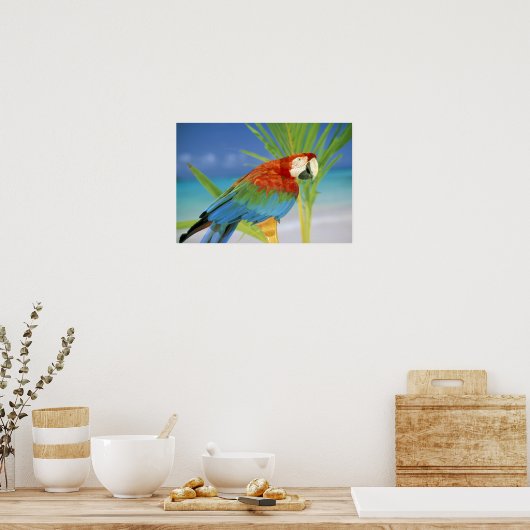 Verenigde Staten, Hawaii. Parrot Poster (Keuken)