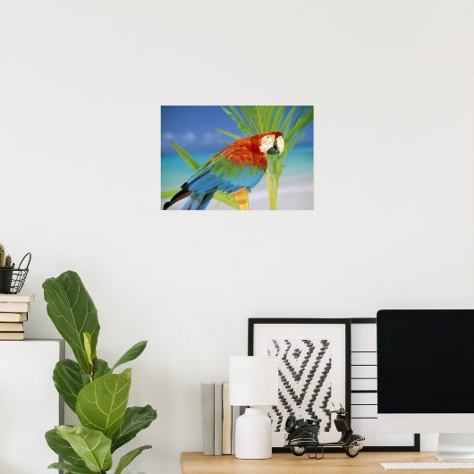Verenigde Staten, Hawaii. Parrot Poster (Thuiskantoor)
