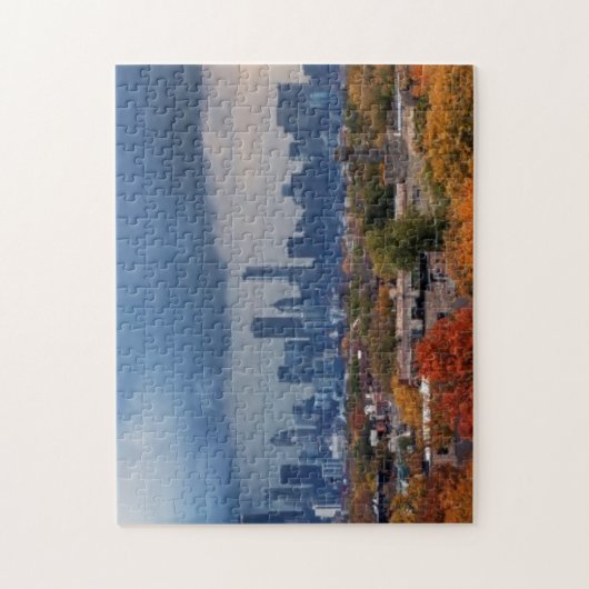 Verenigde Staten, Illinois, Chicago, cityscape Legpuzzel (Verticaal)