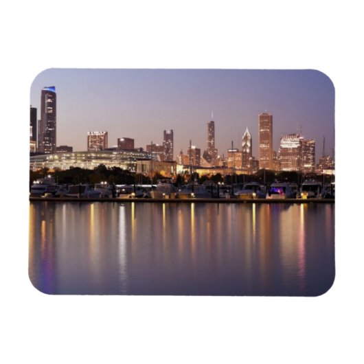 Verenigde Staten, Illinois, Chicago skyline bij sc Magneet (Horizontaal)