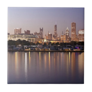 Verenigde Staten, Illinois, Chicago skyline bij sc Tegeltje