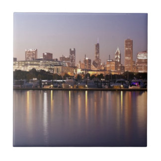 Verenigde Staten, Illinois, Chicago skyline bij sc Tegeltje