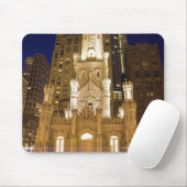 Verenigde Staten, Illinois, Chicago, Watertoren ve Muismat (Met muis)