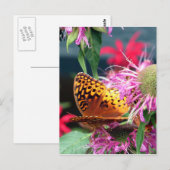 Verenigde Staten - Indiana - Brown County State Pa Briefkaart (Voorkant / Achterkant)