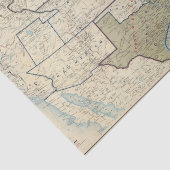 Verenigde Staten juni 1864 Tissuepapier (Detail)