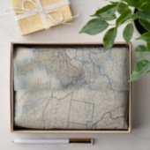 Verenigde Staten juni 1864 Tissuepapier (Geschenk)