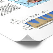 " Verenigde Staten: kaart van 1995 voor herontdekk Poster (Hoek)