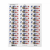 Verenigde Staten Kale Eagle Return Adres Label (Full Sheet)