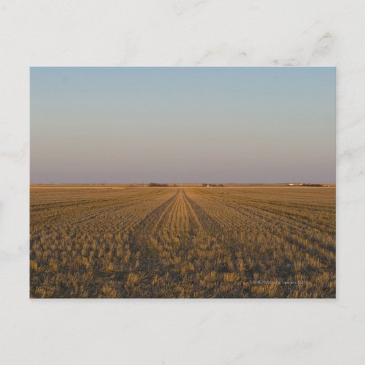 Verenigde Staten, Kansas, gebied Briefkaart (Voorkant)