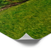 Verenigde Staten, Kansas. Oude Rode Barn Poster (Hoek)