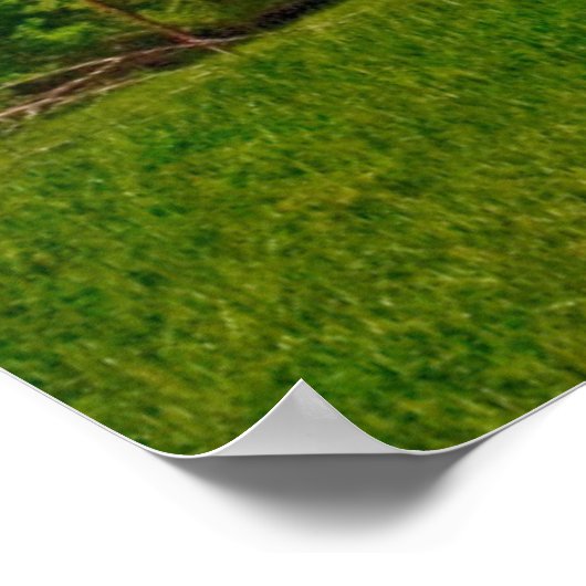 Verenigde Staten, Kansas. Oude Rode Barn Poster (Hoek)