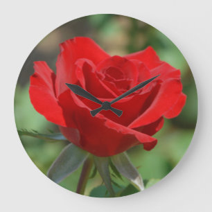 Verenigde Staten, Kansas, Red Rose Grote Klok