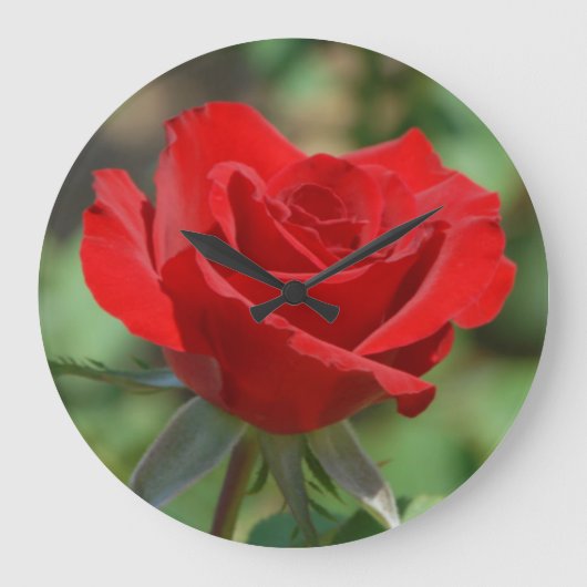 Verenigde Staten, Kansas, Red Rose Grote Klok (Voorkant)