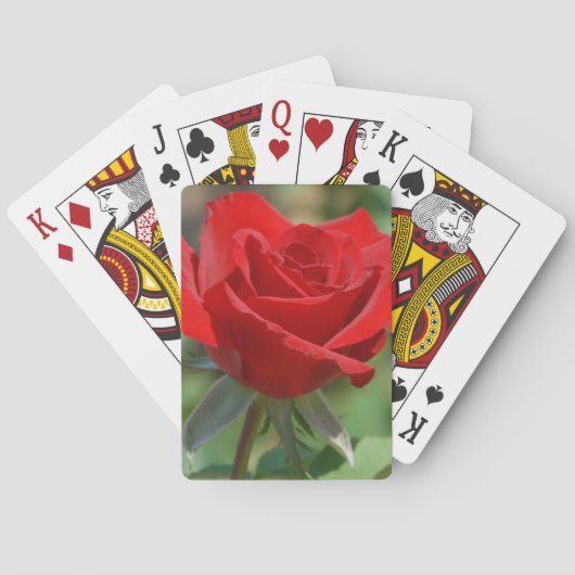 Verenigde Staten, Kansas, Red Rose Pokerkaarten (Achterkant)