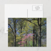 Verenigde Staten, Kentucky, Louisville. Eastern Re Briefkaart (Voorkant / Achterkant)