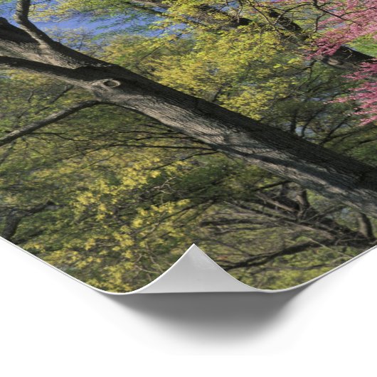 Verenigde Staten, Kentucky, Louisville. Eastern Re Poster (Hoek)