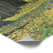 Verenigde Staten, Kentucky, Louisville. Met bomen  Poster (Hoek)