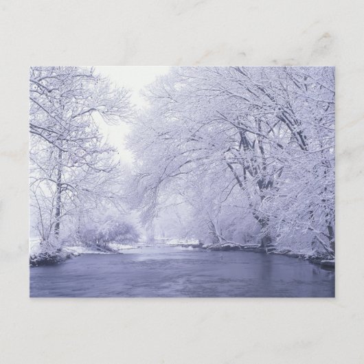 Verenigde Staten, Kentucky, Louisville. Sneeuw bed Briefkaart (Voorkant)