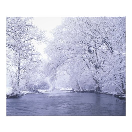 Verenigde Staten, Kentucky, Louisville. Sneeuw bed Foto Afdruk (Voorkant)