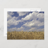 Verenigde Staten, Kentucky, Louisville. Warmtegewa Briefkaart (Voorkant / Achterkant)