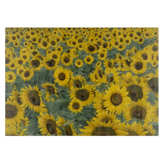 Verenigde Staten, Kentucky Pattern in field of cul Snijplank (Voorkant)