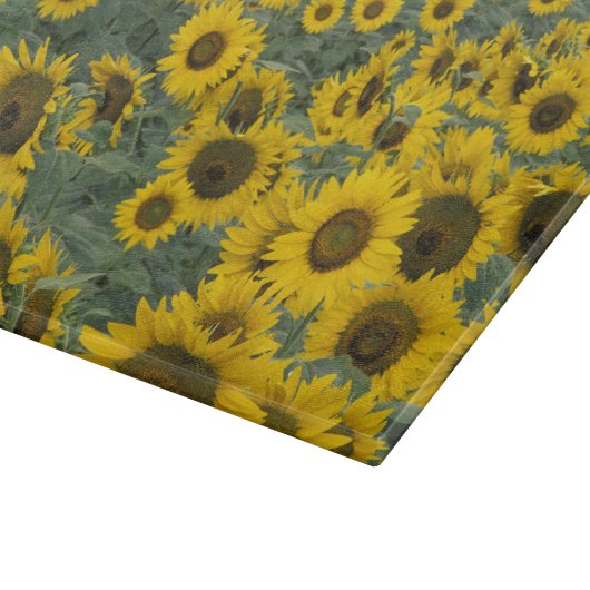 Verenigde Staten, Kentucky Pattern in field of cul Snijplank (Hoek)