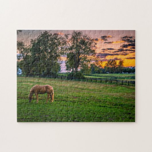 Verenigde Staten, Lexington, Kentucky. Lone Horse  Legpuzzel (Horizontaal)