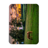 Verenigde Staten, Lexington, Kentucky. Lone Horse Magneet (Verticaal)