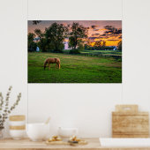 Verenigde Staten, Lexington, Kentucky. Lone Horse  Poster (Keuken)