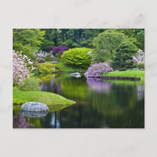 Verenigde Staten, Maine, Noordoost Harbour. Uitzic Briefkaart (Voorkant)