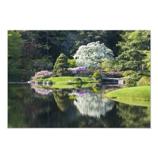 Verenigde Staten, Maine, Noordoost Harbour. Uitzic Foto Afdruk (Voorkant)