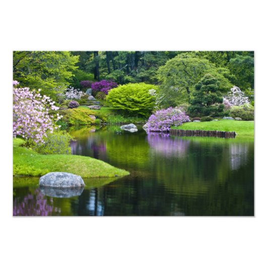 Verenigde Staten, Maine, Noordoost Harbour. Uitzic Foto Afdruk (Voorkant)