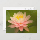 Verenigde Staten, Maryland, Westminster, Unie Briefkaart (Voorkant / Achterkant)