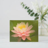 Verenigde Staten, Maryland, Westminster, Unie Briefkaart (Staand voorkant)