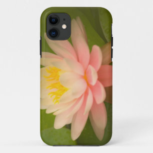 Verenigde Staten, Maryland, Westminster, Unie iPhone 11 Hoesje