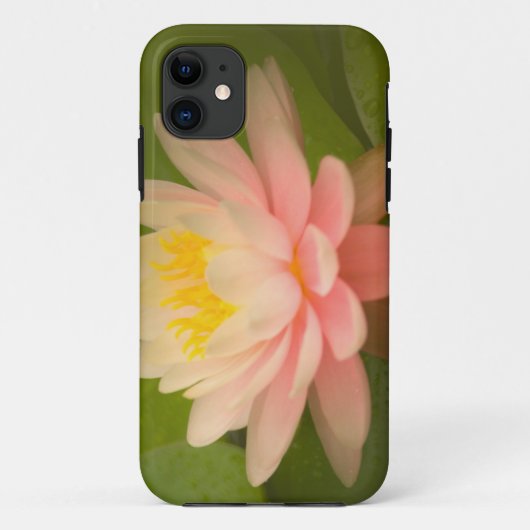 Verenigde Staten, Maryland, Westminster, Unie Case-Mate iPhone Case (Achterkant)