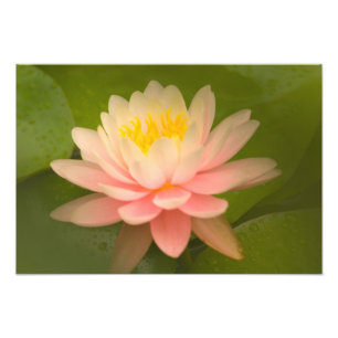 Verenigde Staten, Maryland, Westminster, Unie Foto Afdruk