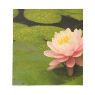 Verenigde Staten, Maryland, Westminster, Unie Notitieblok