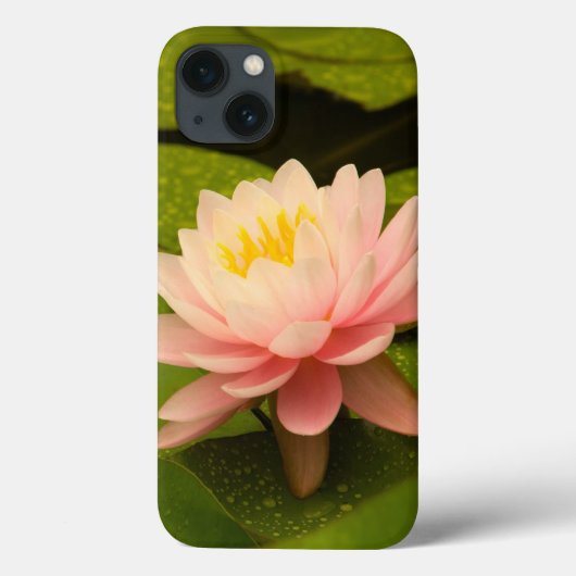Verenigde Staten, Maryland, Westminster, Union 2 Case-Mate iPhone Case (Achterkant)